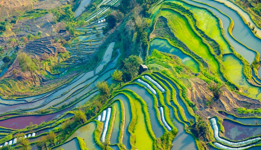宝妈必备神器：蒲县产品视频拍摄轻松育儿好帮手