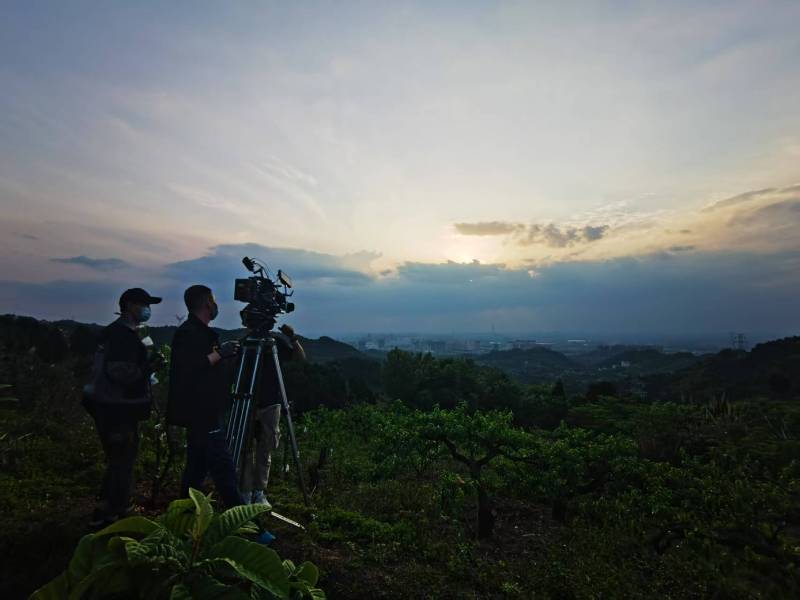 聚焦蒲县产品宣传视频拍摄公司，用专业实力铸就品牌传播传奇