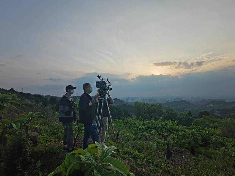 创意破圈！蒲县电商产品宣传视频用故事化叙事引爆流量