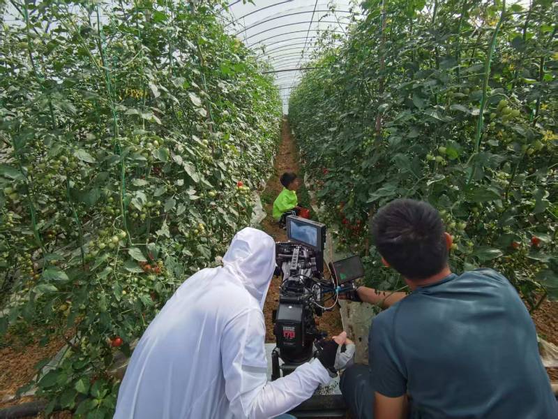 蒲县产品宣传视频拍摄公司进阶指南，助力品牌抢占传播高地